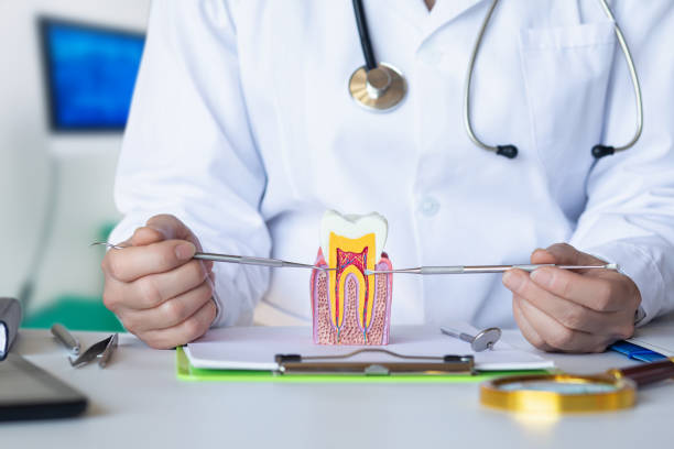 Best Emergency Wisdom Teeth Removal in Paris, MO